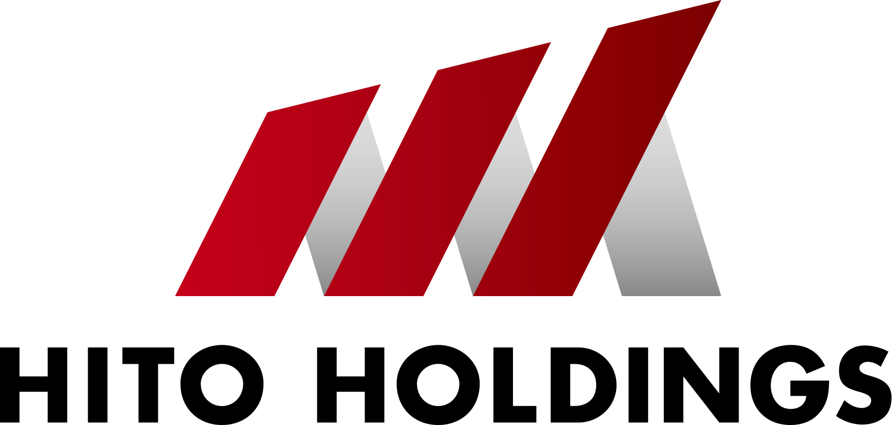 株式会社 HITOホールディングス